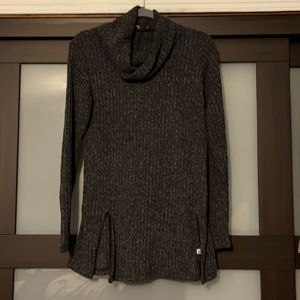 The Limited Turtle Neck Top
